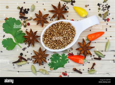 Coriander Seeds With Selection Of Indian Spices Stock Photo Alamy