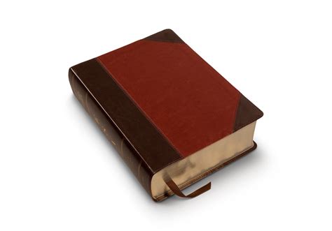 ESV Study Bible, Large Print (TruTone, Brown/Cordovan, Portfolio Design ...