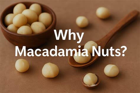 macadamia nuts deserve  spot   diet thrive carolinas