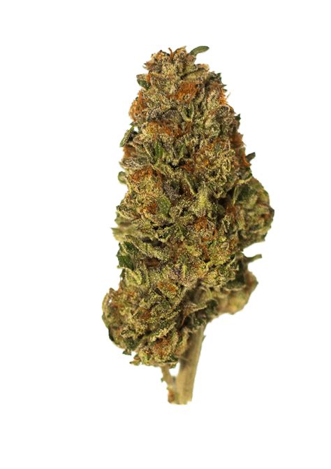 MO white pages access might change your privacy status soon 18