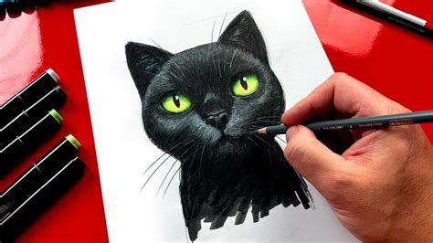 draw  realistic black cat advanced art  kids hub