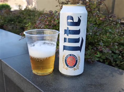 9 Best Tall Boy Beer Brands To Try in 2023