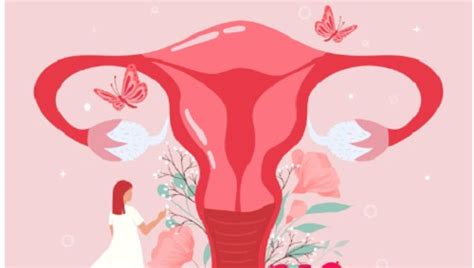 Proses Menstruasi Secara Singkat Pada Wanita Ini 3 Fase Utamanya