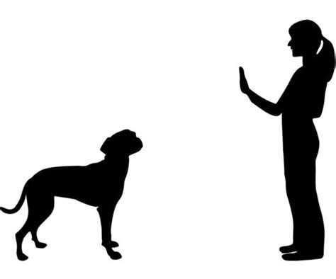 Stay Essential Hand Signals For Dogs Popsugar Pets Photo 5