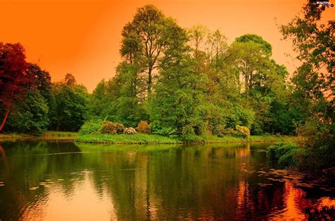 River Trees Viewes Park Beautiful Views Wallpapers X