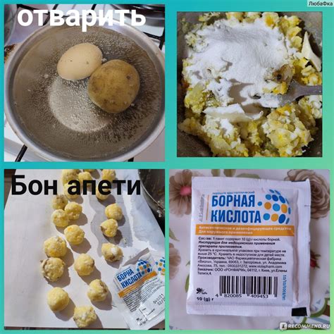 Борная кислота от тараканов: рецепты, как приготовить в домашних условиях