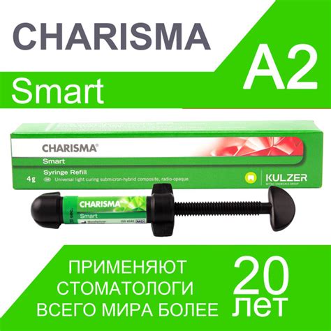 Харизма СМАРТ / Charisma SMART А2, отдельный шприц 4г, Heraeus Kulzer ...