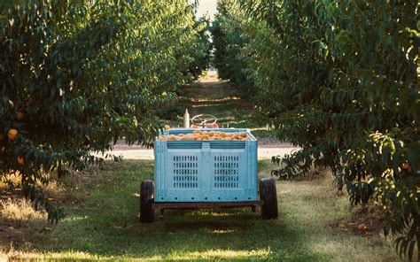 Goulburn Valley on Behance