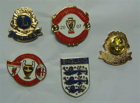 Pin Pins Pins Badge Badges