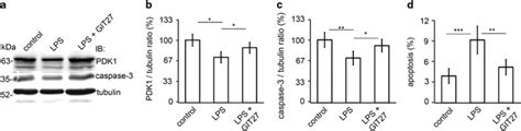 Inhibition Of The Tlr Pathway Prevents Lps Induced Downregulation Of Download Scientific