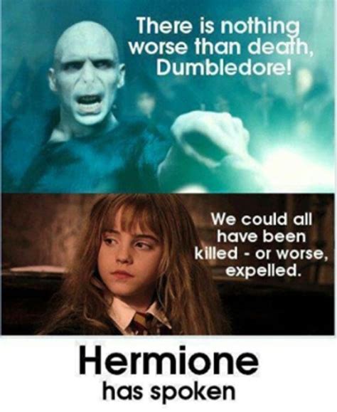 Harry Potter: 10 Hilarious Hermione Memes Only True Fans Will Understand