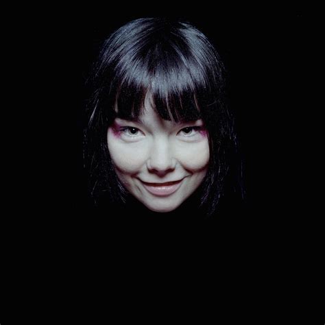 Bjork Wallpapers Top Free Bjork Backgrounds Wallpaperaccess