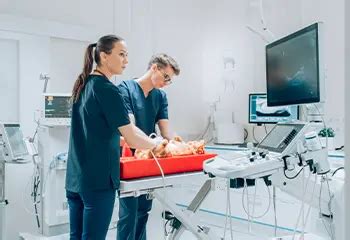 Tecnico Em Veterinaria Ead - Curso Técnico em Veterinária | Wyden Presencial, Semipresencial e EaD