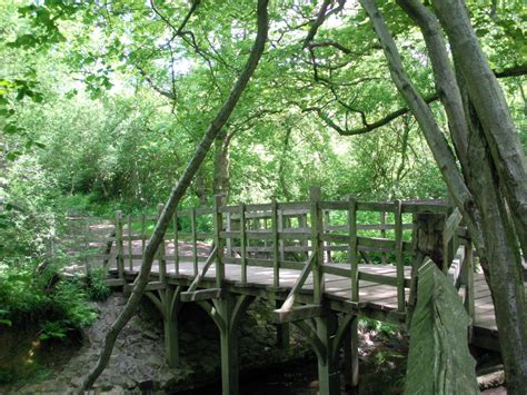 Places of Fancy: Where Is Hundred Acre Wood in 'Winnie the Pooh'?