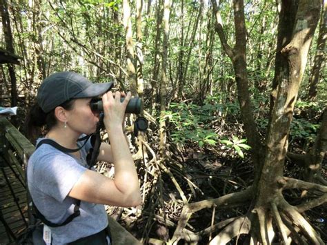 KOTA KINABALU Wetland Centre Review Harga Tiket 2024