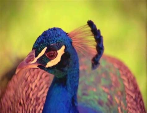 Among The Greatest Porn Films Ever Made Group Sex Porn Xhamster