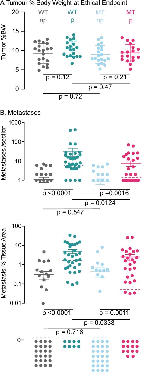 Effect Of Mt Oas And Parity On Lung Metastases A Actual Tumor Burden