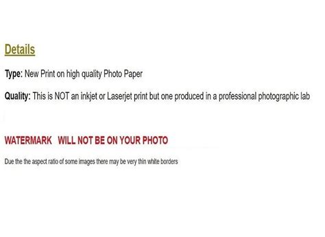 Picture Photo Nude Model Woman Female Naked Art Photograph Vintage EBay UK