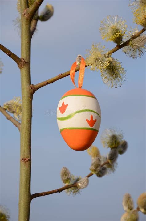 Easter Egg Hanging On Pussy Willow Branch Stock Photo Image Of Natural Cuddly