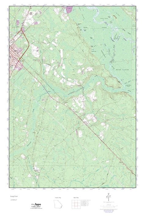 Mytopo Jesup East Georgia Usgs Quad Topo Map