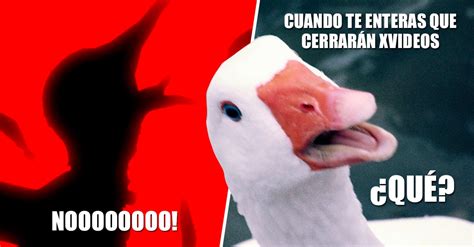 Rumor De Cierre De XVIDEOS Desata Los Memes En Internet