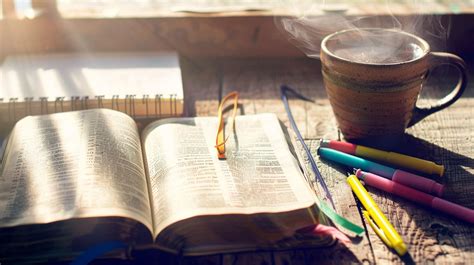 O que a Bíblia Diz Sobre o Sexo Anal Trilha da Fé