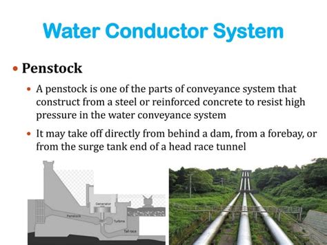 Elements Of Water Conductor System