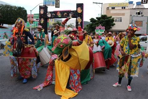 Tro As De Bois E Ursos Participam De Seletiva Para O Carnaval De Arcoverde