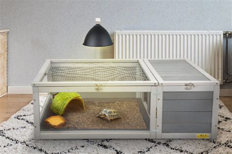 A Comprehensive Guide to Set Up a Turtle Habitat - Coziwow