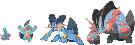 Download View Swampert Evolutionary Line Pokemon Swampert Full