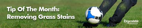 How to Remove a Grass Stain - Dependable Cleaners