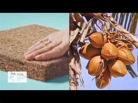 Детский матрас Plitex Eco Lat - Mebel-Rastem.ru - YouTube