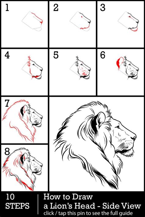 How To Draw A Lions Head Side View A 10 Step Realistic Lion Drawing