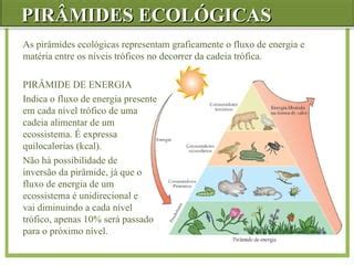 Fluxo De Energia Biologia - fluxos de energia na biologia e ciencias | PPT