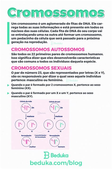 O Que São Cromossomos Autossomos - Cromossomos Autossomos: O Que São e Como Funcionam