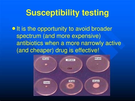 Ppt Principles Of Antibiotic Therapy In Paediatrics Powerpoint