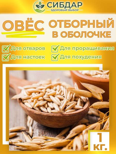 Овес для заваривания и проращивания лечебный неочищенный 1кг - купить с ...