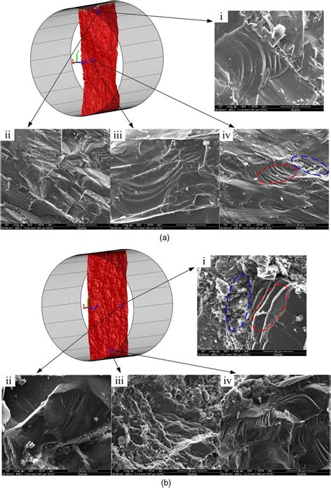 Sem Images Of The Typical Microcracks And Their Sampling Positions On