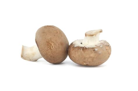 Baby Portobellos Mushrooms Isolated on White Stock Image - Image of