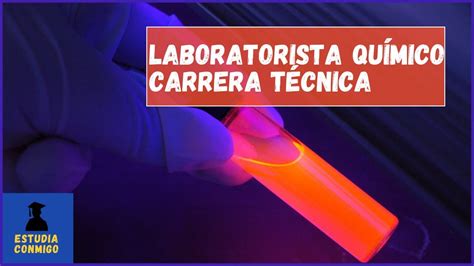 Plan De Estudios Para Laboratorista Qu Mico Edukar