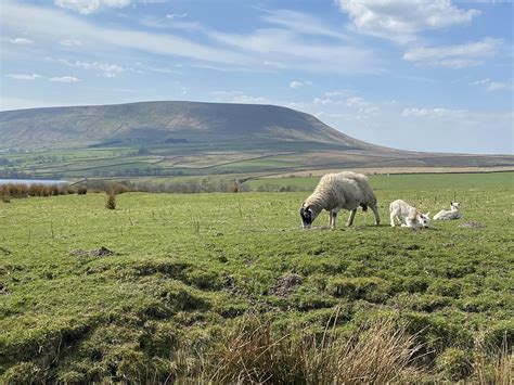 The history of kaufman chapel southfield michigan holds a secret 11