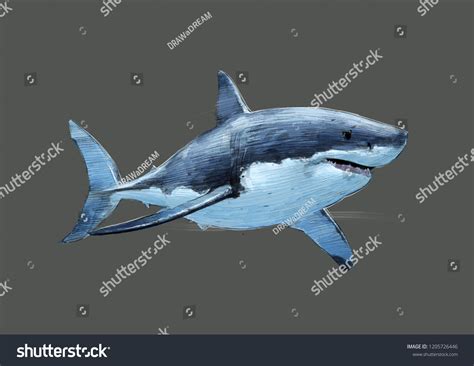 Great White Shark Color Pencil Drawing Stock Illustration 1205726446