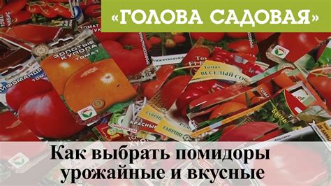 Голова садовая - Как выбрать помидоры урожайные и вкусные - YouTube