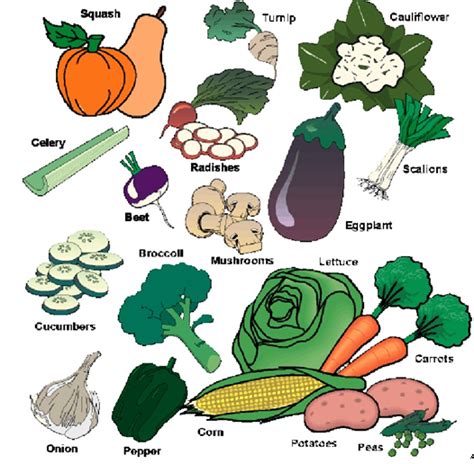 Collection Of Examples Of Go Foods Png Pluspng