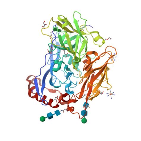 Rcsb Pdb I K Bilirubin Oxidase From Myrothecium Verrucaria Mutant