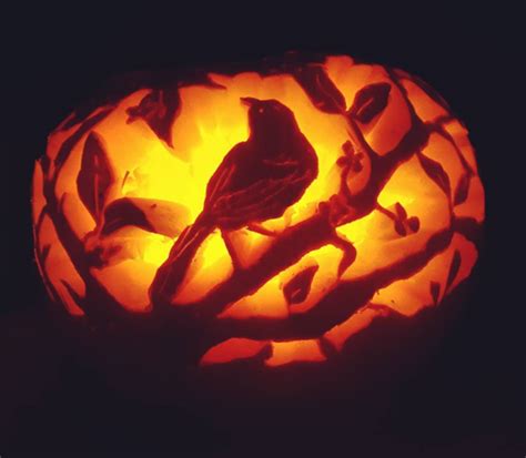 jack o lantern ideas cute - Bao Mahoney