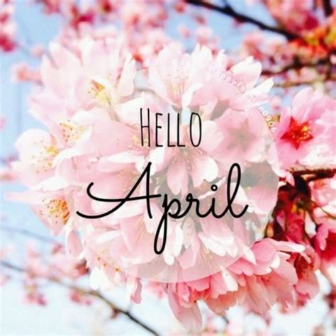 75 Hello April Quotes & Sayings