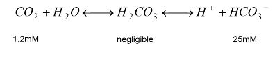 Gas Transport Carbon Dioxide Flashcards Quizlet