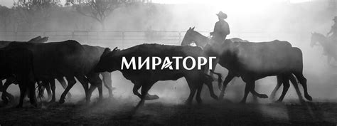 Товарный брендинг Мираторг Black Angus: дизайн упаковки, брендбук ...