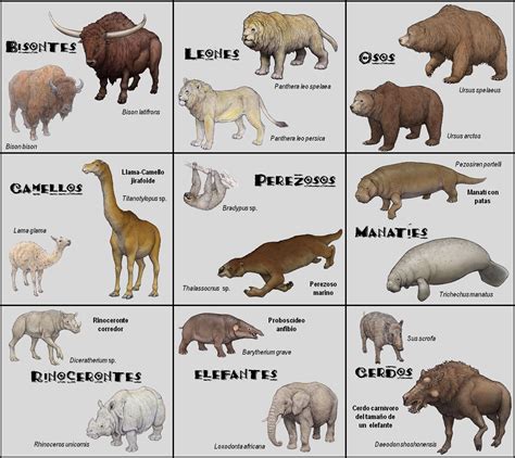 Palaeos La Historia De La Vida En La Tierra Invalidando La Teor A De